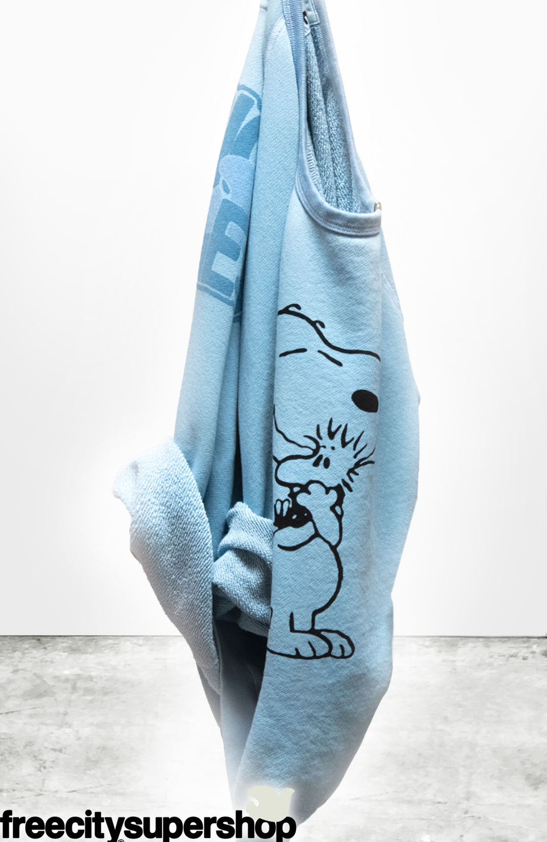 BASICGOODNESS SCHULZ SUPERVINTAGE YUMM raglan - SNOOPY BLUE
