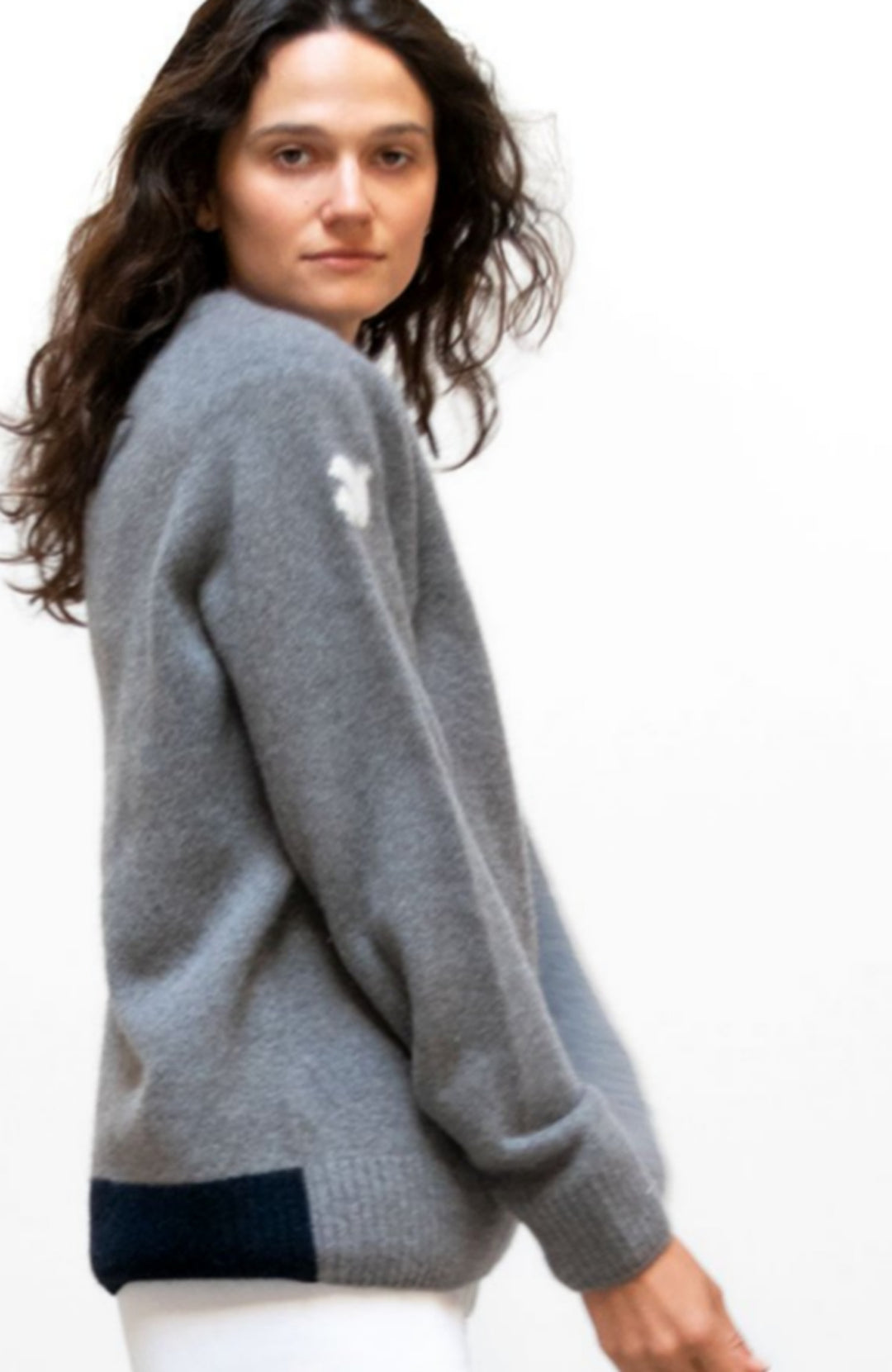 BACKSTRIKE DOVE SUPERLUX CASHMERE crew - dovegray/deeplynavy